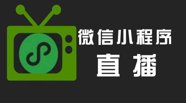 达州开发小程序用什么语言(小程序开发用什么编程语言)